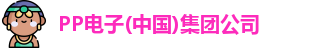 pp电子